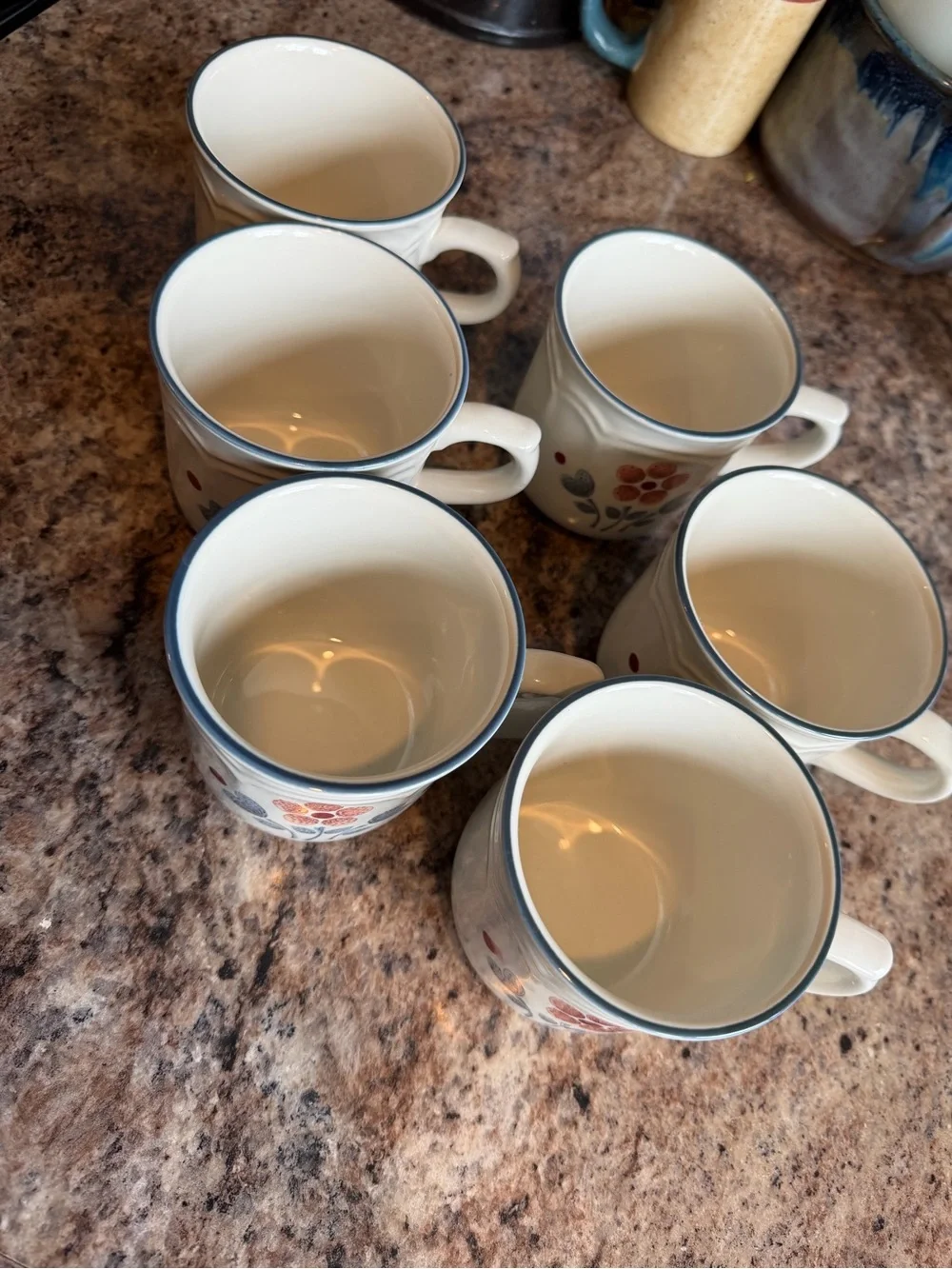 Hearthside Cumberland Brambleberry Stoneware Floral Cup Set of 6 cottage heart